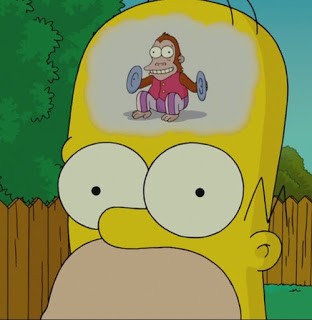 homer-cervello-1