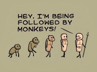 monkeys-1